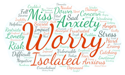 Mental Wellbeing Survey