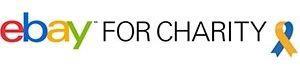eBay for Charity